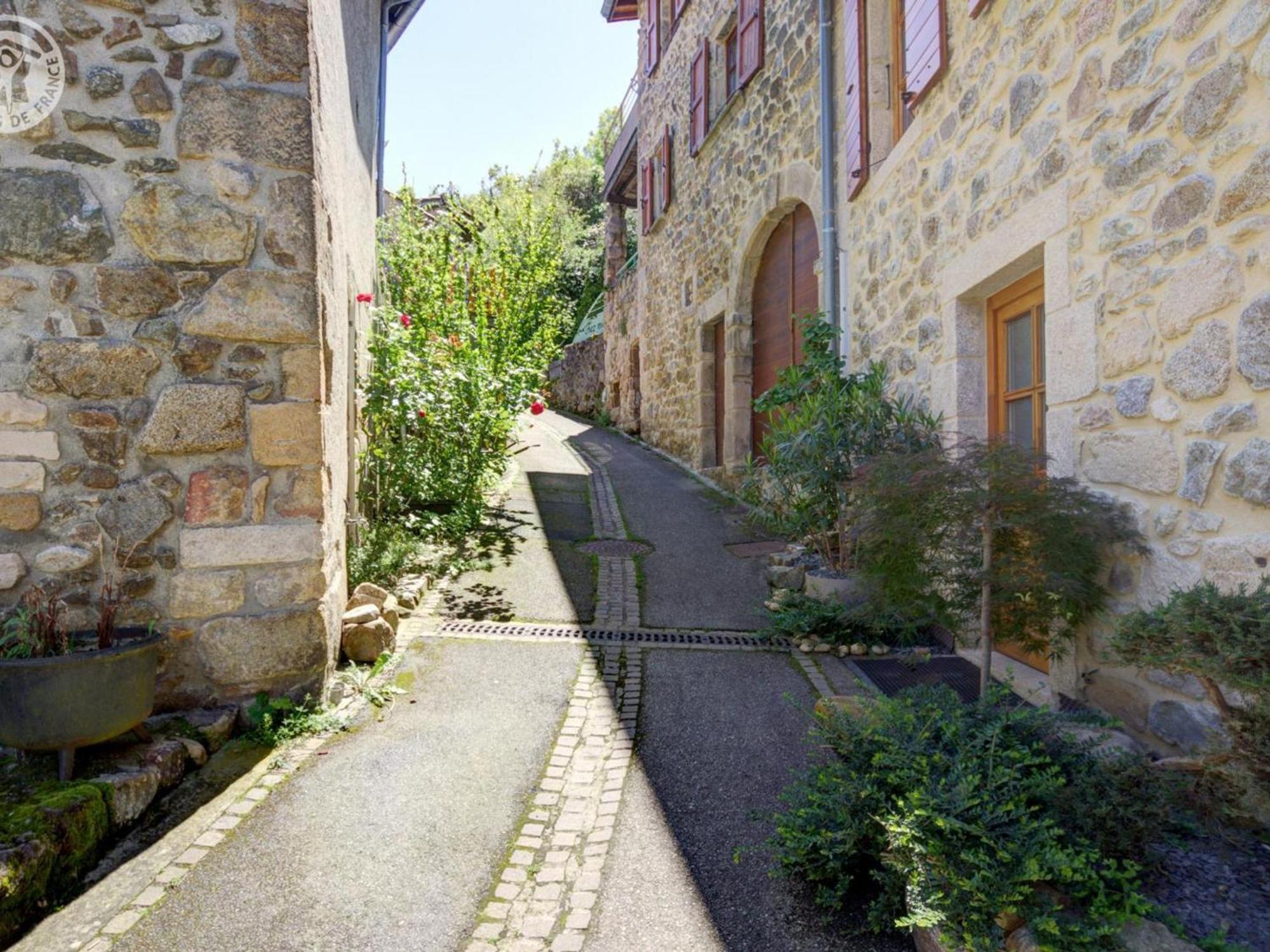 Gite De Charme Avec 2 Terrasses, Au Coeur Du Parc Du Pilat, Confortable Et Equipe - Fr-1-496-40 Malleval Exterior photo